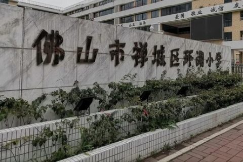 STEAM教育丨陽(yáng)春已至，雷宇助力雙城共育創(chuàng)客之花